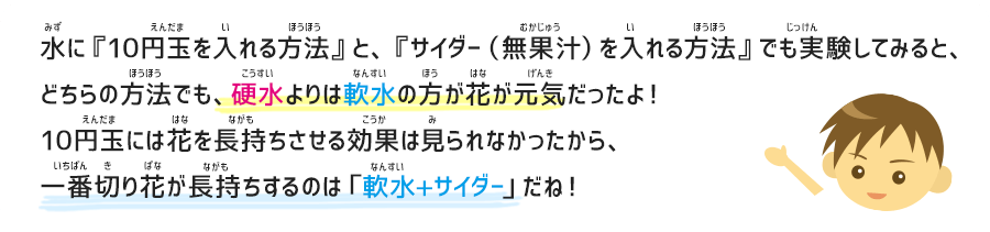 水に『10円玉を入れる方法』と、『サイダー（無果汁）を入れる方法』でも実験してみると、どちらの方法でも、硬水よりは軟水の方が花が元気だったよ！10円玉には花を長持ちさせる効果は見られなかったから、一番切り花が長持ちするのは「軟水+サイダー」だね！