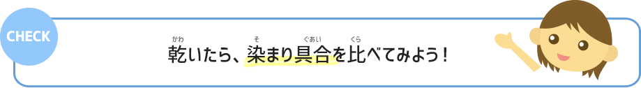 乾いたら、染まり具合を比べてみよう！