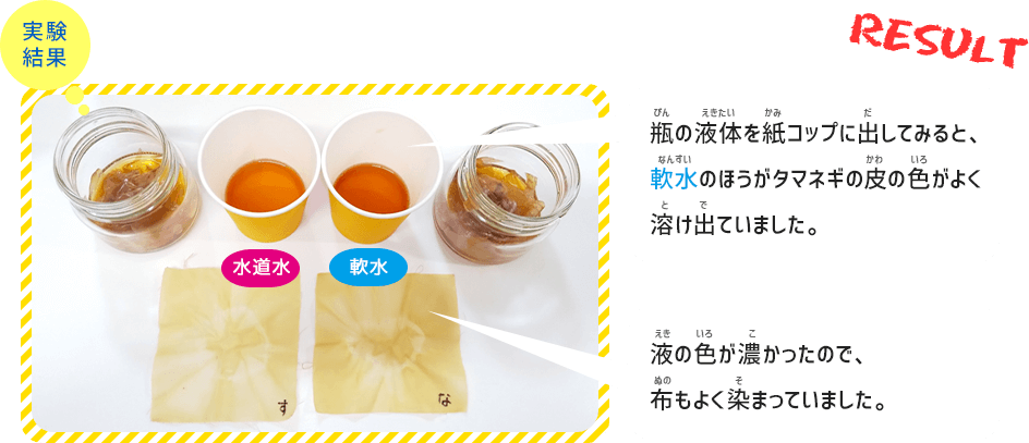 実験結果　瓶の液体を紙コップに出してみると、軟水のほうがタマネギの皮の色がよく溶け出ていました。液の色が濃かったので、布もよく染まっていました。