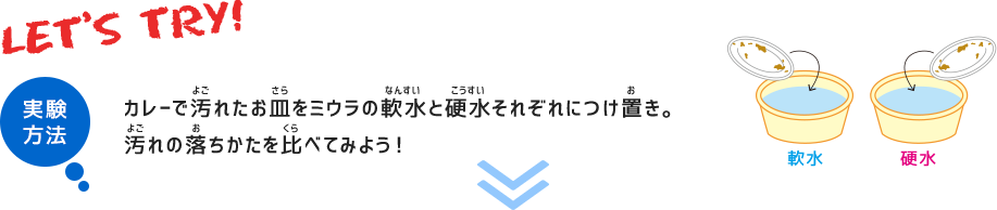 実験方法　カレーで汚れたお皿をミウラの軟水と硬水それぞれにつけ置き。汚れの落ちかたを比べてみよう！
