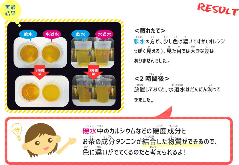 実験結果　＜煎れたて＞軟水の方が、少し色は濃いですが（オレンジっぽく見える）、見た目では大きな差はありませんでした。　＜2時間後＞放置しておくと、水道水はだんだん濁ってきました。　硬水中のカルシウムなどの硬度成分とお茶の成分タンニンが結合した物質ができるので、色に違いがでてくるのだと考えられるよ！