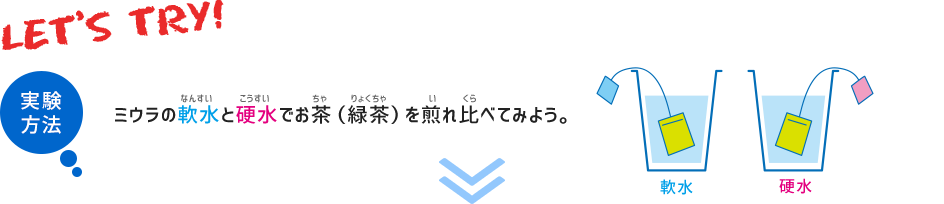 実験方法　ミウラの軟水と硬水でお茶（緑茶）を煎れ比べてみよう。