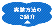 用実験方法のご紹介