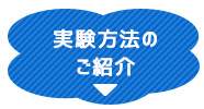 実験方法のご紹介