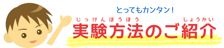 実験方法のご紹介