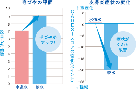 グラフ：毛づやの評価と皮膚炎症状の変化