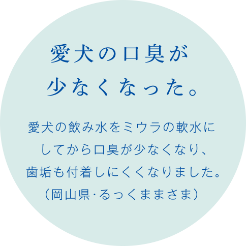 お客さまの声１